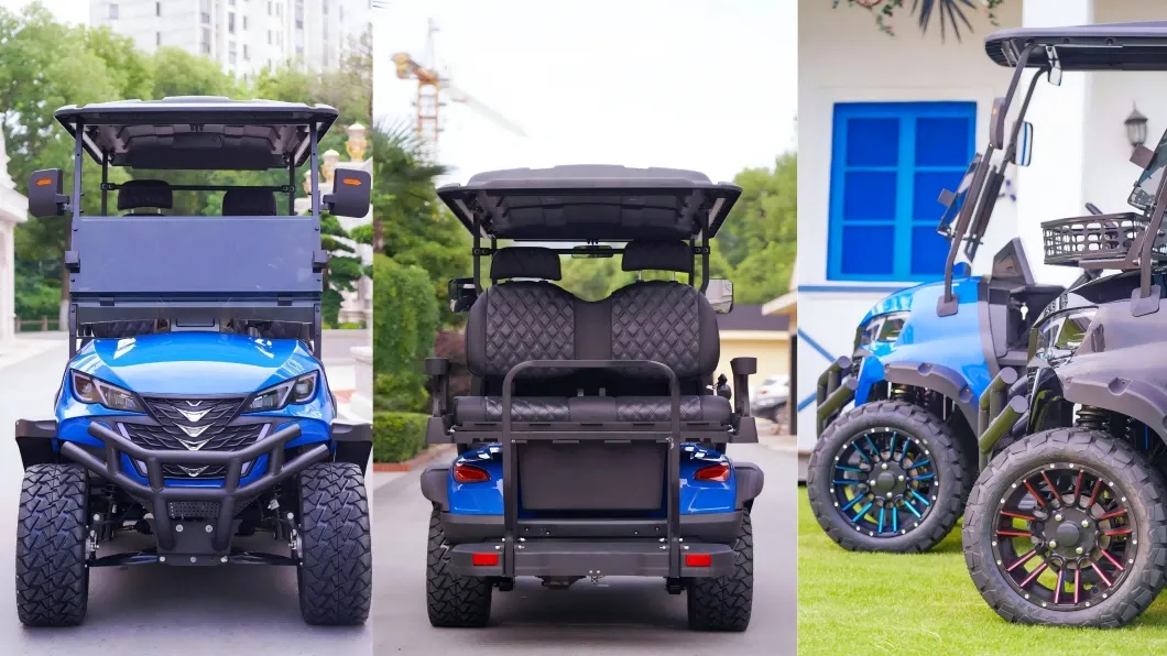 Detalhe do Carrinho de Golfe 1