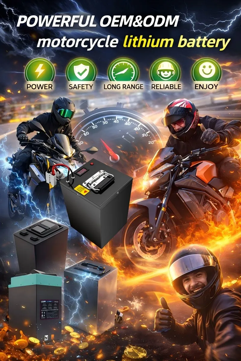 OEM LiFePO4 Pacote de Baterias de Íon de Lítio para Scooter, Bicicleta Elétrica, Bateria de Motocicleta Elétrica