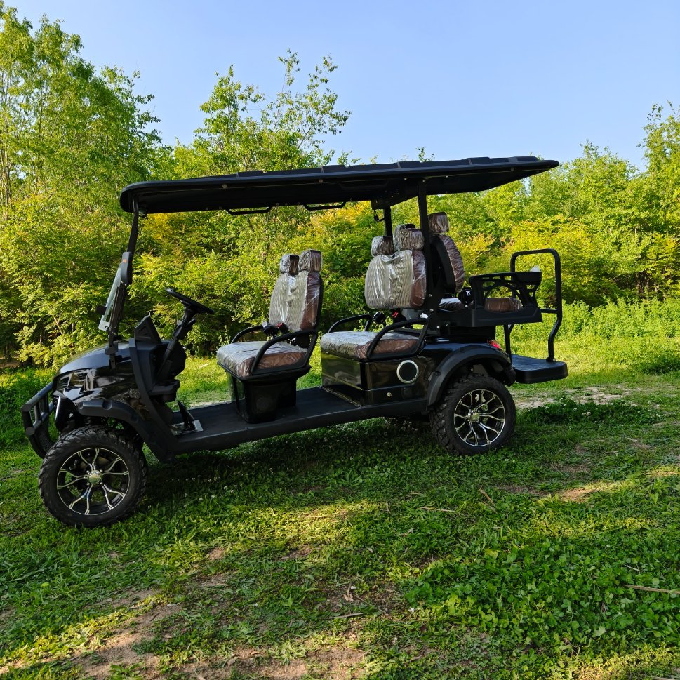 New Style Golf Cart with Accessories 60V 100ah Battery for Golf Club