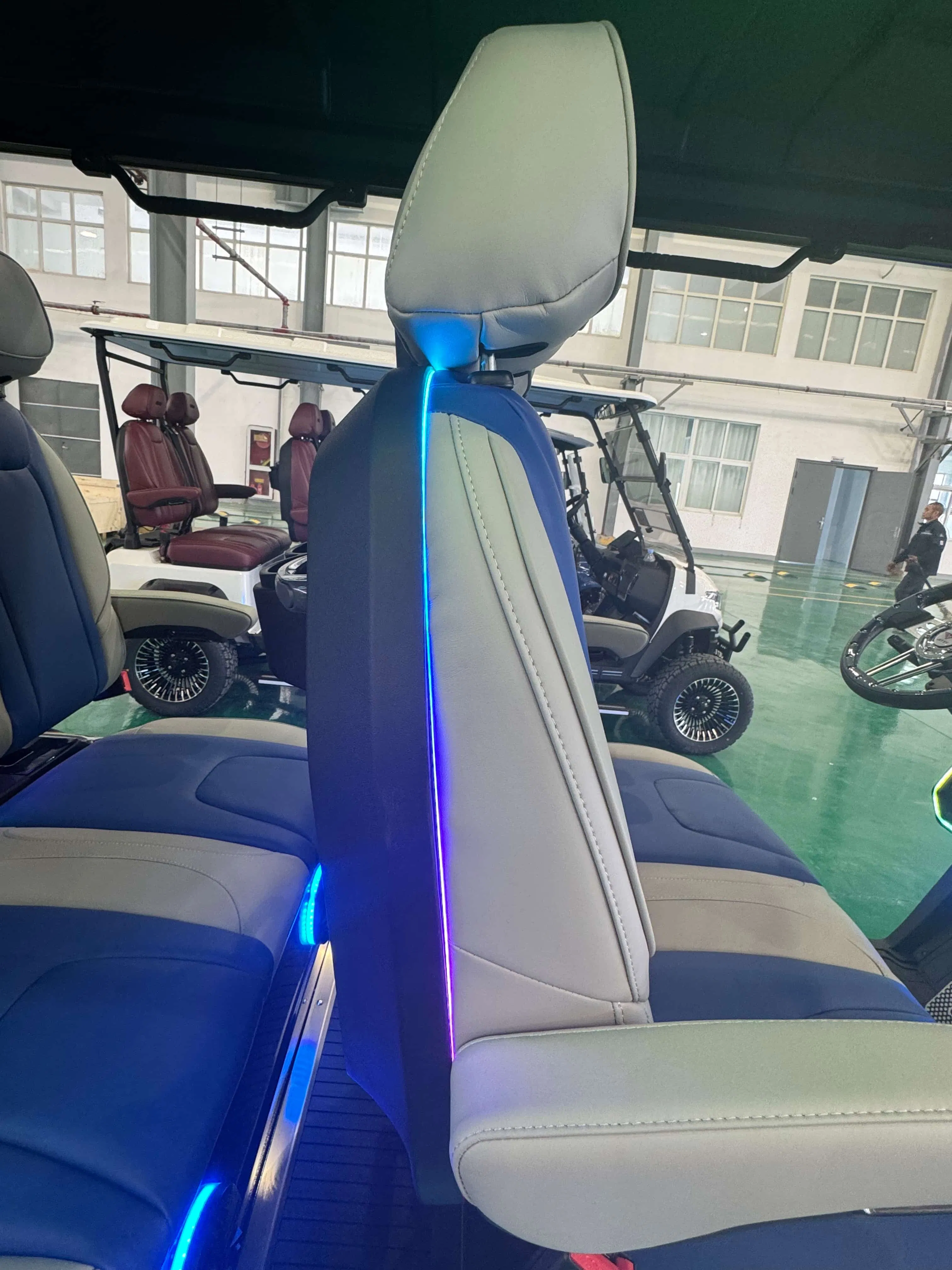 Equipamento de Golfe Rígido Elegante Garantido para Transporte em Resort em Passeios Turísticos