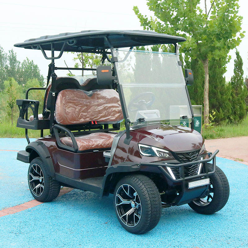 Padrão ANSI Veículo de Baixa Velocidade (LSV) Carrinho de Golfe Compliant Fmvss 500 para Uso em Vizinhança nos EUA