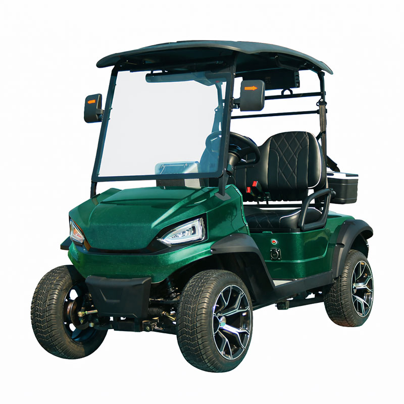 Aprovado pelo CE 2-Seater Carrinho de Golfe com Bateria de Longa Duração para Uso em Fazenda, Resort e Parque