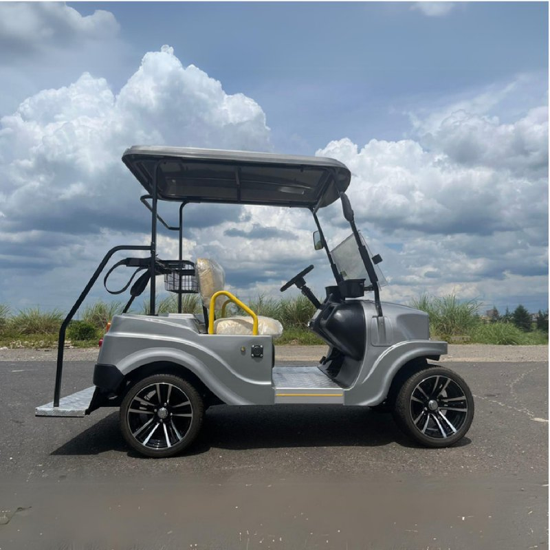 2025 Parison 2 Assentos Elétricos de Carro com Estrutura de Alumínio Carrinho de Golfe Elétrico Scooter de Golfe Off Road Carrinho de Golfe