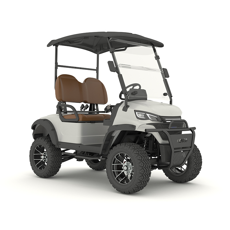 Veículo Elétrico Utilitário de Baixo Preço para Resorts, Carrinho de Golfe com Construção Robusta e Durável