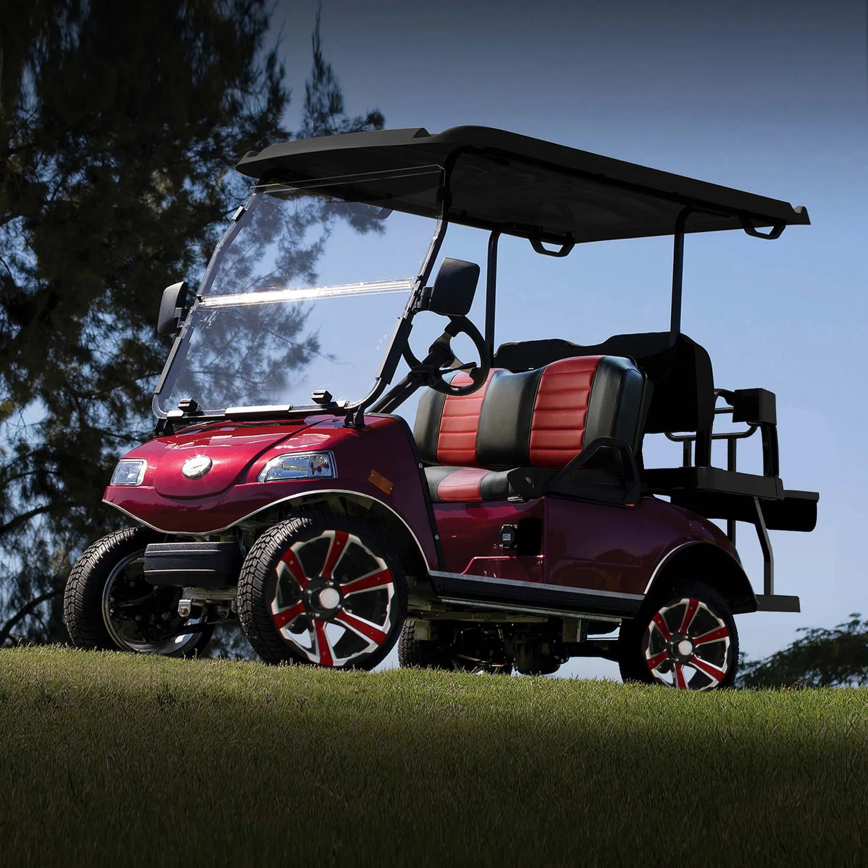 Dois Assentos Mini Carros Luxuosos Novo Fábrica 4 Carrinho de Golfe