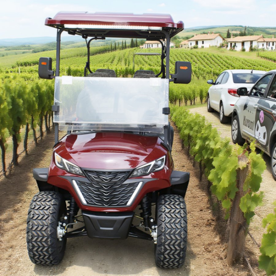 Carrinho de Golfe Elétrico Novo 4-Wheel Veículo de Passeio para 4 Passageiro com 5kw Motor Barato à Venda para Uso em Clube