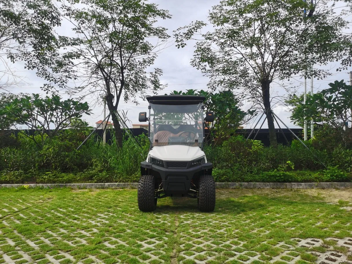 72V Carrinho de Golfe de Luxo Drive Carro Elétrico de Golfe 4 Veículo Utilitário