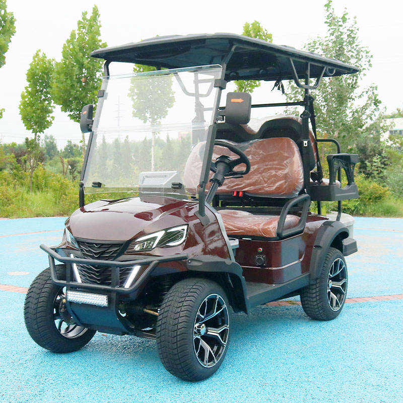Padrão ANSI Veículo de Baixa Velocidade (LSV) Carrinho de Golfe Compliant Fmvss 500 para Uso em Vizinhança nos EUA