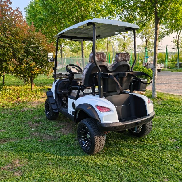 2 Seats Golf Cart 60V 100ah Battery Electric for Golf Course Use