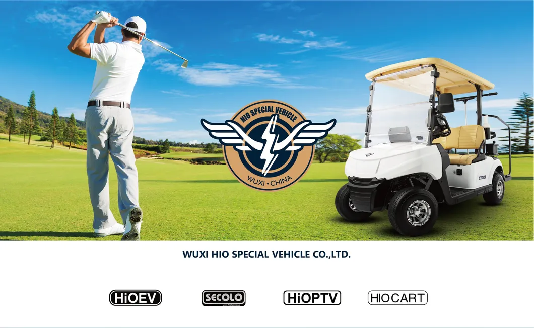Novo Veículo Elétrico Utilitário com Caixa de Carga 48V 2-Seat Carrinho de Golfe