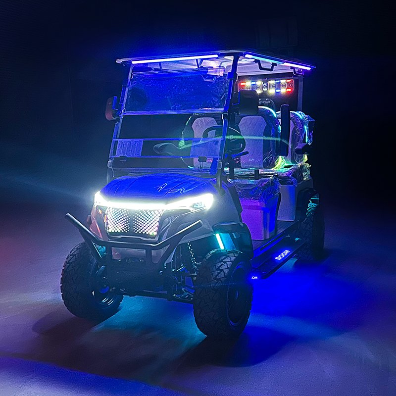 Carrinho de Golfe Elétrico de Luxo Alimentado por Lítio com Opções de Cores Personalizáveis