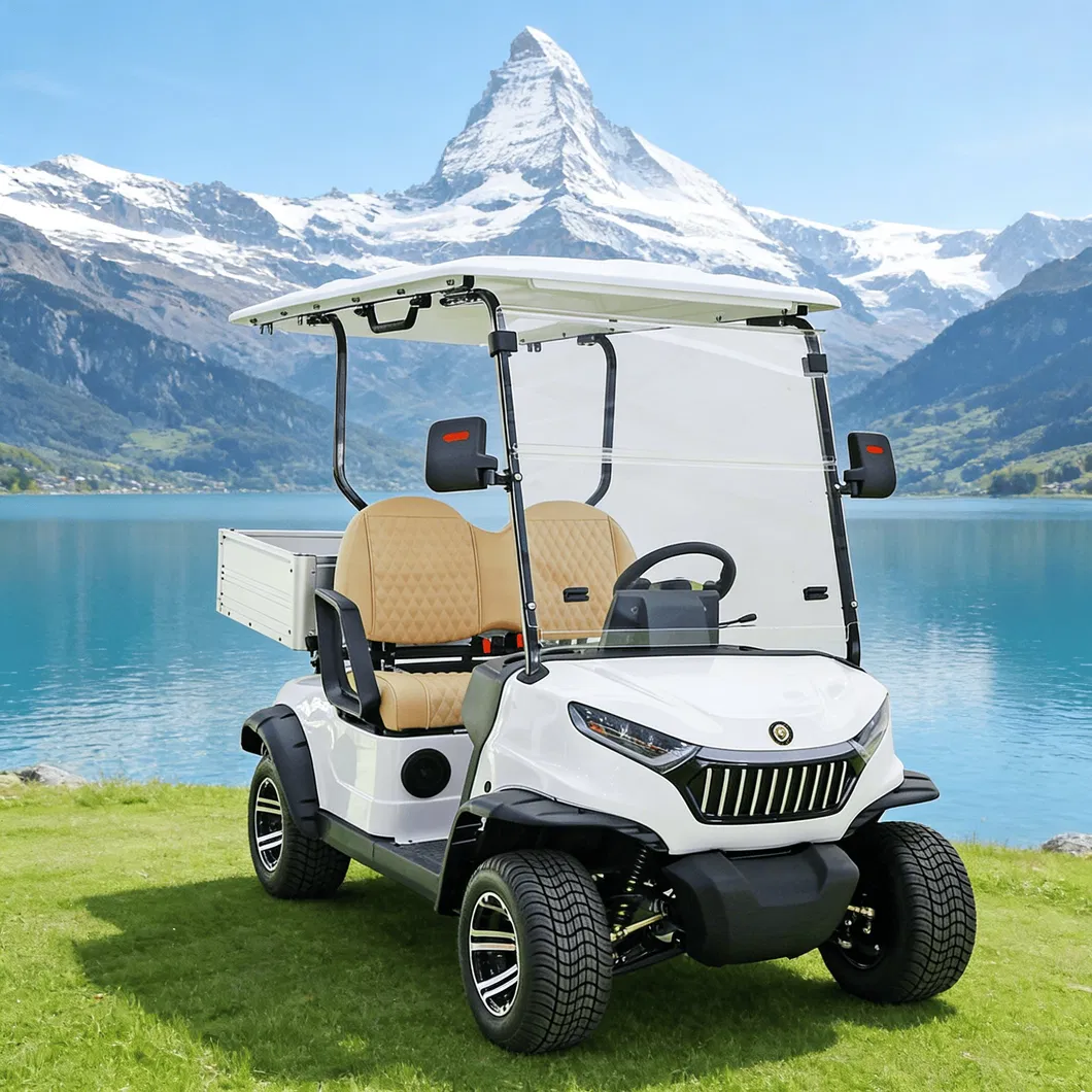 Detalhe do Carrinho de Golfe Elétrico