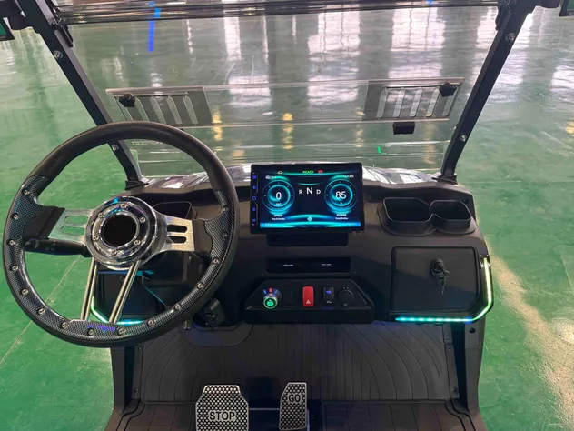 Carrinho de golfe elétrico interior do painel