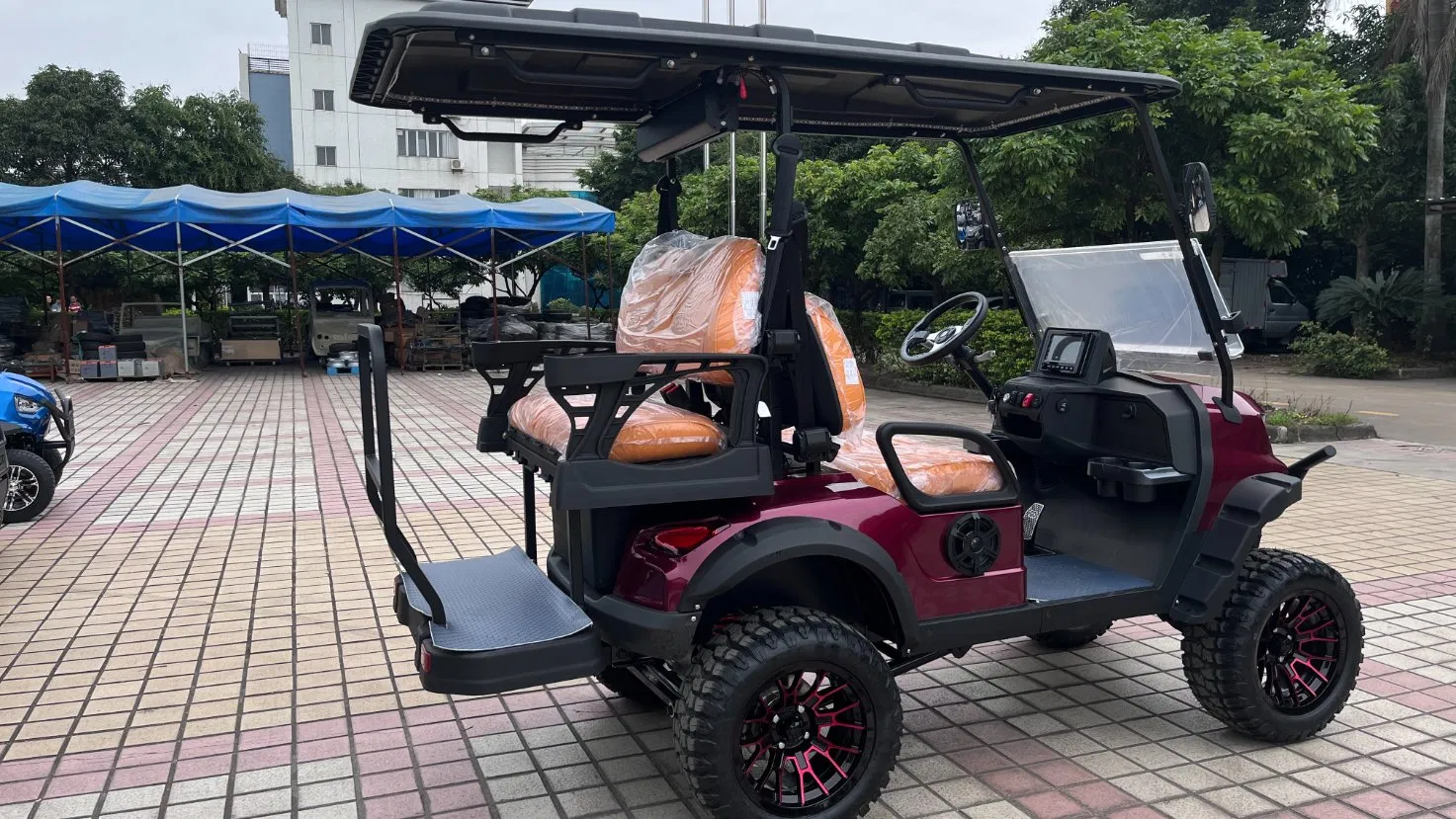 Carro de Golfe Carrinho de Golfe Elétrico Carrinho de Golfe com Certificado CE