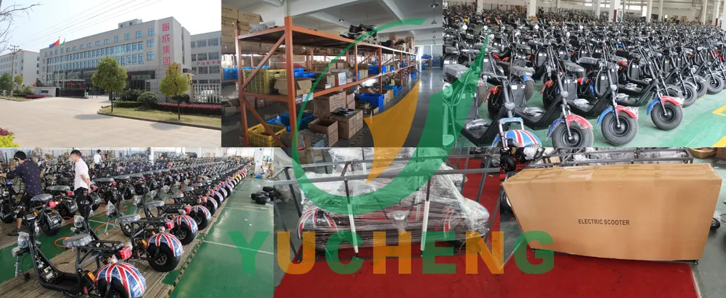 Oficina de Montagem