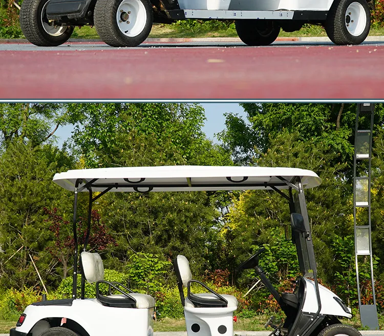Detalhe do Carrinho de Golfe