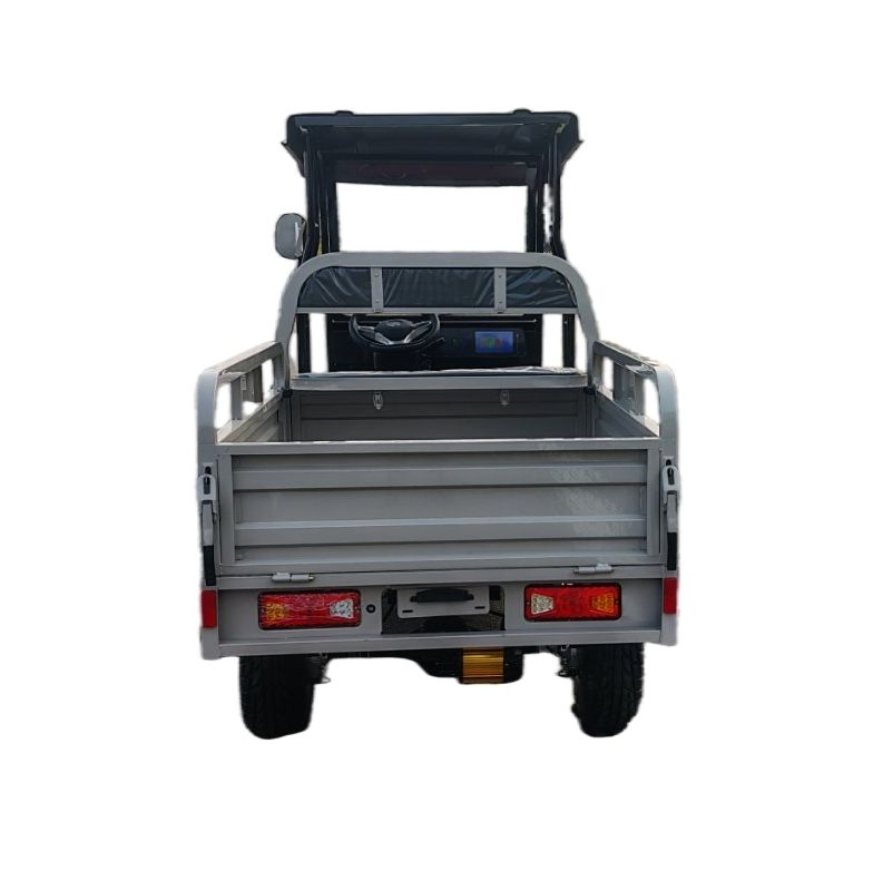 Carrinho de Golfe Elétrico, Versão de Carga ODM/CKD