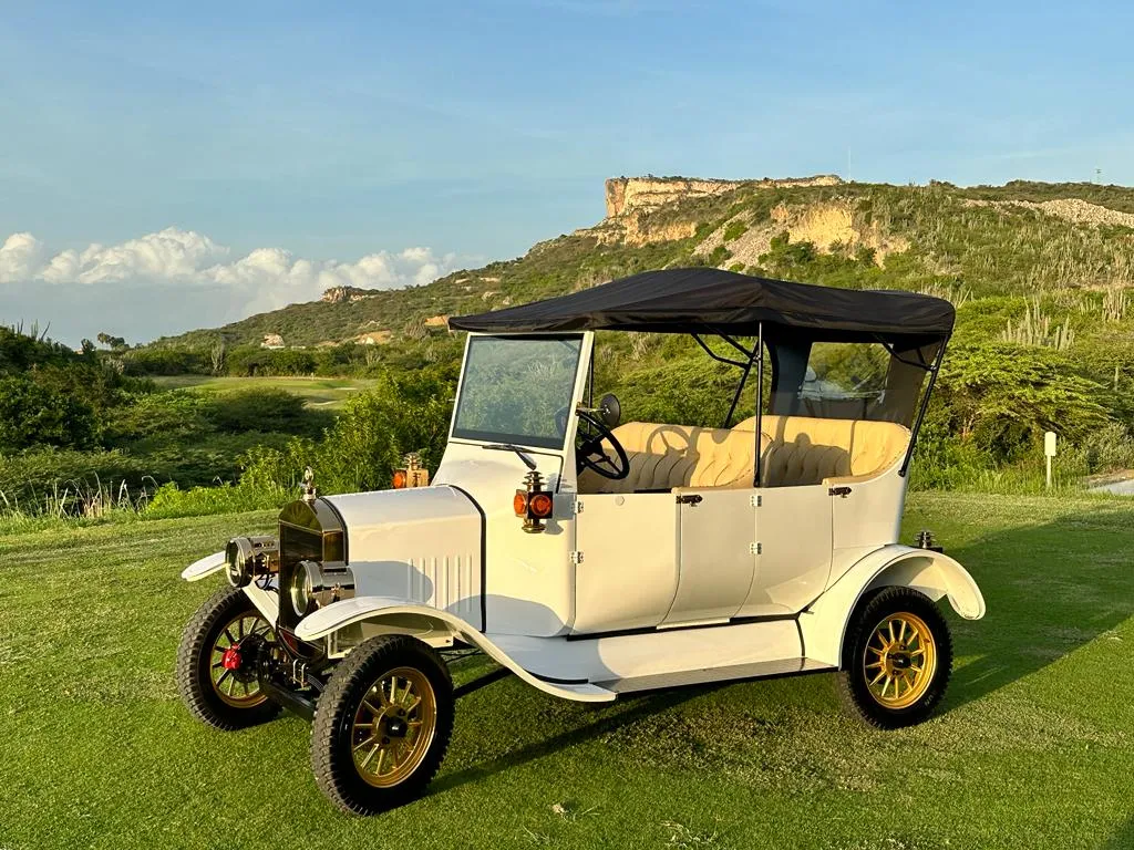 Carrinho de Golfe de Luxo Premium Modelo T para Mini Clubes