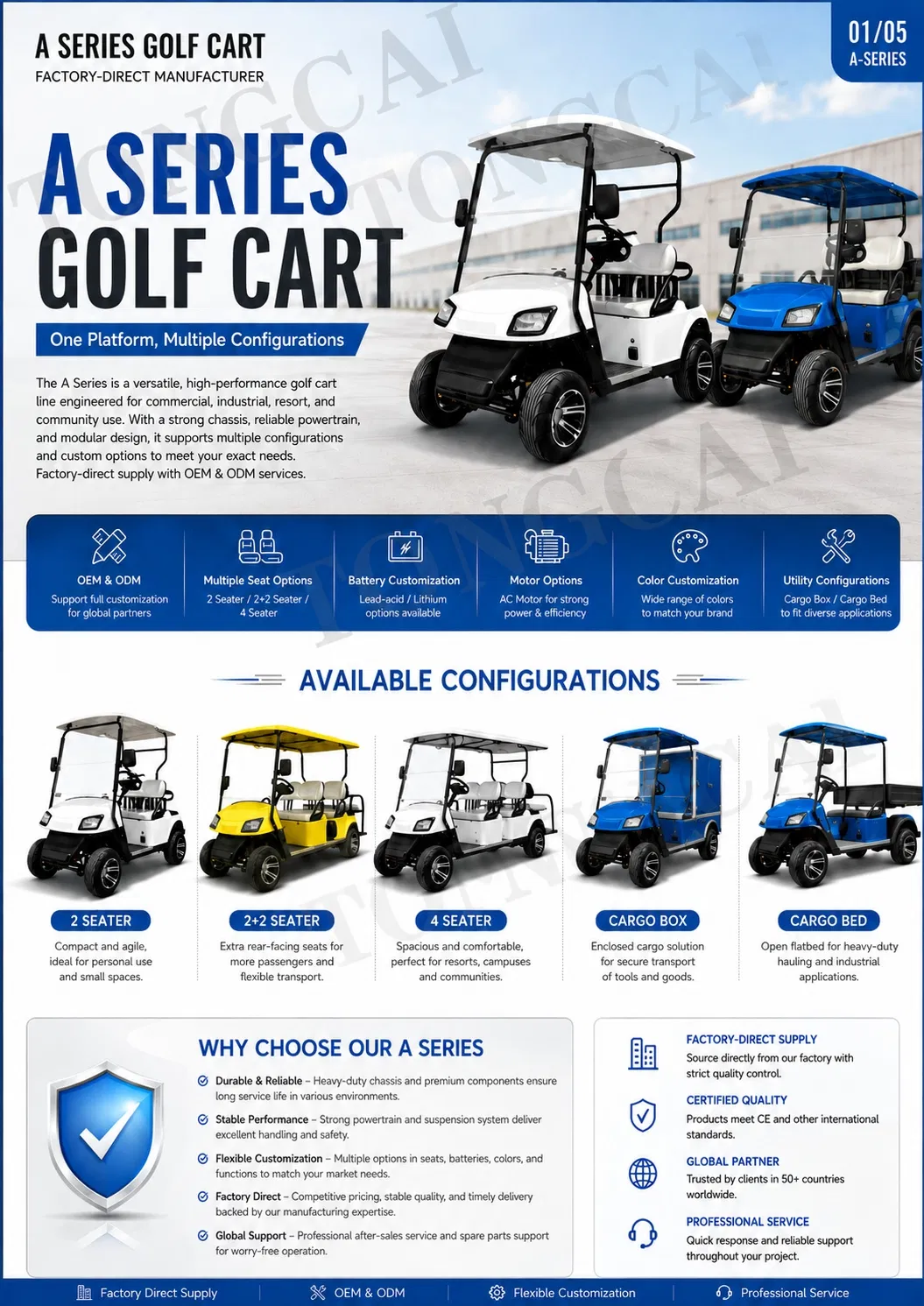 Carrinho de Golfe Elétrico de 4 Lugares com Opções de Assento Personalizadas