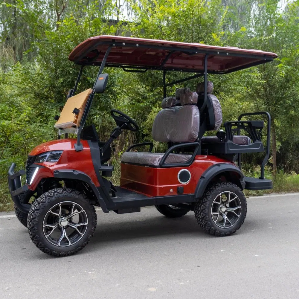 Fábrica de Carrinho de Golfe Elétrico OEM Direto, Cor Personalizada, Logotipo, Material do Assento e Acessórios