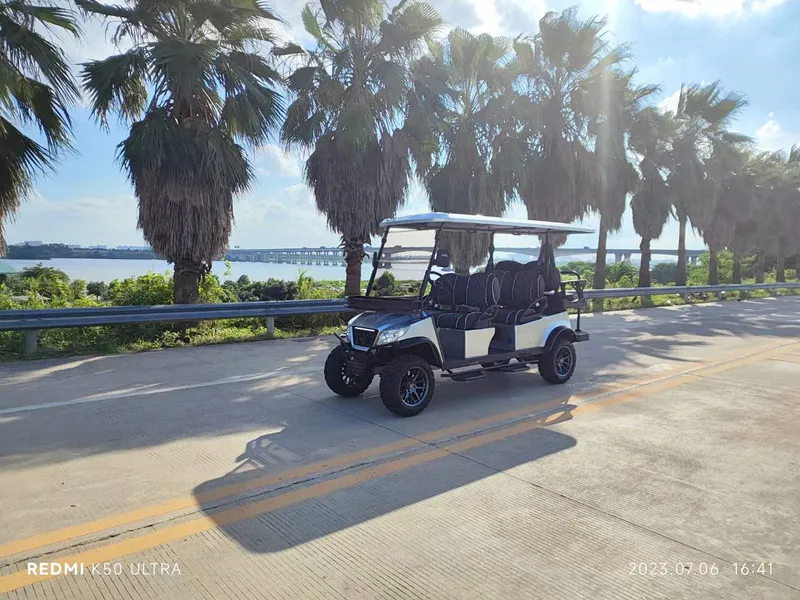 Carrinho de Golfe Elétrico para Uso em Clube de Golfe Carro Elétrico Pequeno