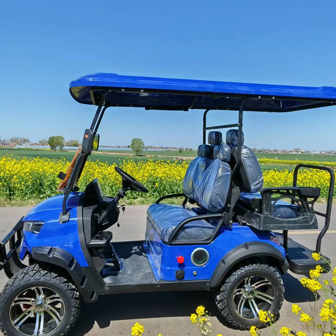 Carrinho de Golfe Elétrico Personalizável 2-Seater 6 Lugares com Bateria de Lítio à Venda