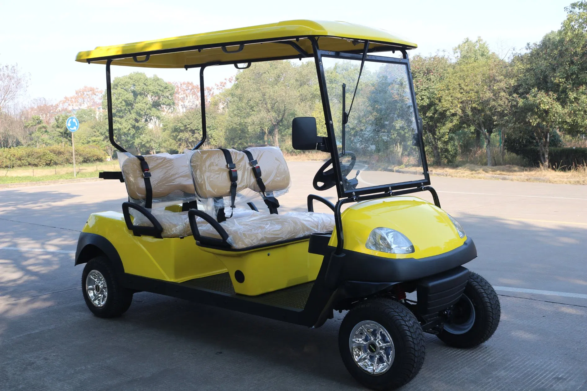 Carro de golfe elétrico para passeios, carrinho de golfe de lítio, veículo utilitário