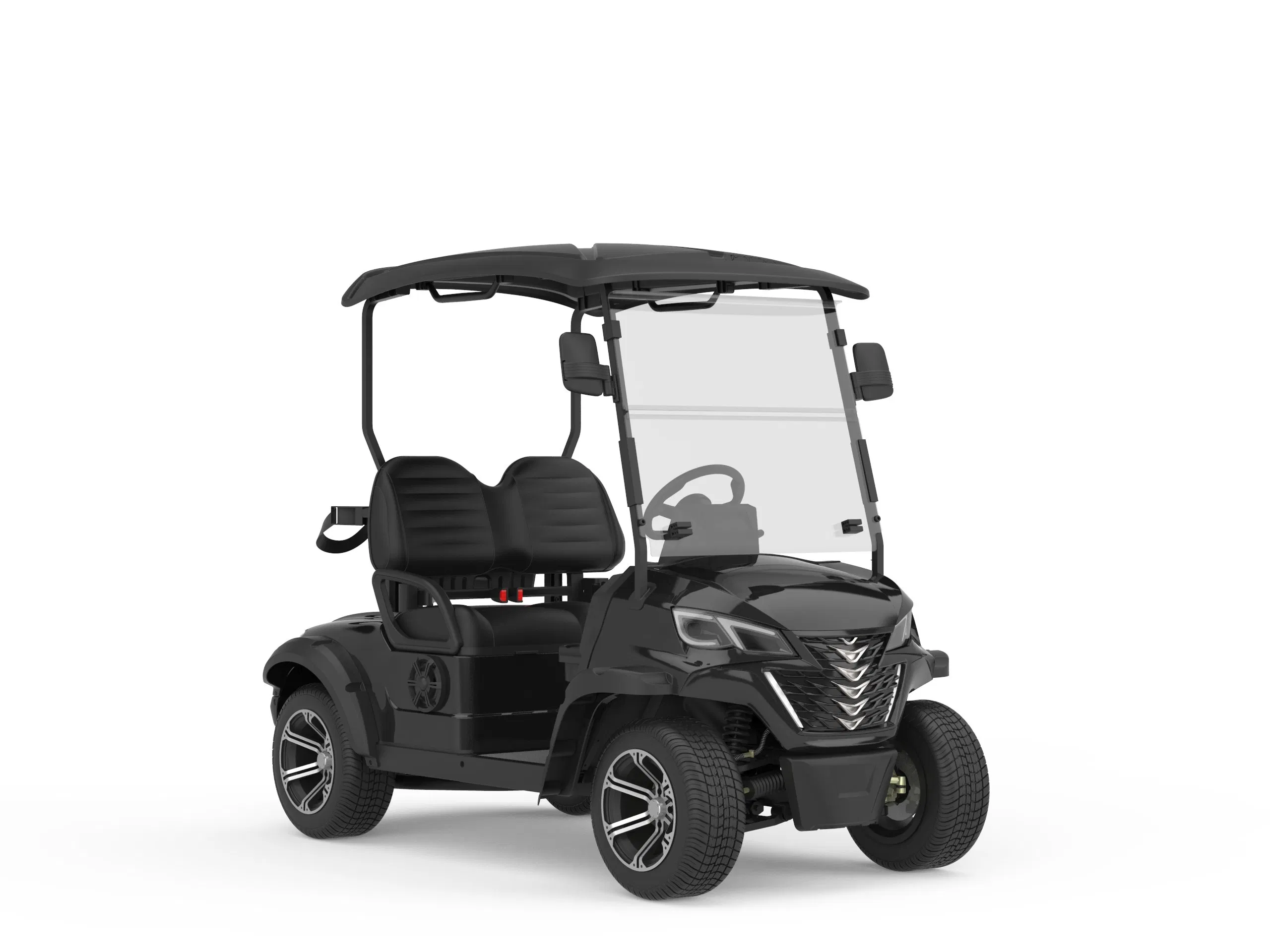 Carrinho de Golfe Elétrico Mini Elevado Personalizado 2 Assentos