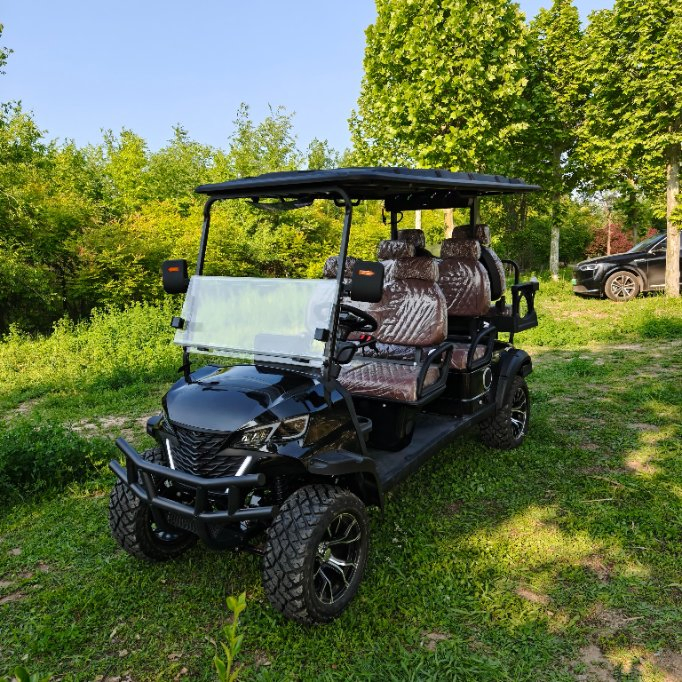 New Style Golf Cart with Accessories 60V 100ah Battery for Golf Club
