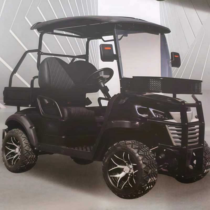 Carrinho de Golfe Elétrico Aprovado para Uso Urbano e Suburbano de Luxo Certificado