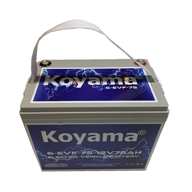 12V75ah 6-Evf-75 Bateria de Carro Elétrico Sem Manutenção para Carrinho de Golfe