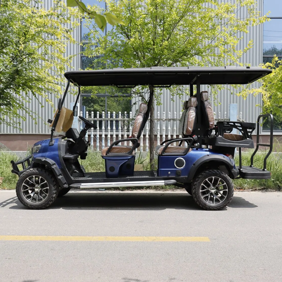 Aprovado pelo CE e EPA 2/4/6 Carrinho de Golfe Elétrico, Utilitário Legal para Rua, Buggy de Clube para Caça e Uso em Resort