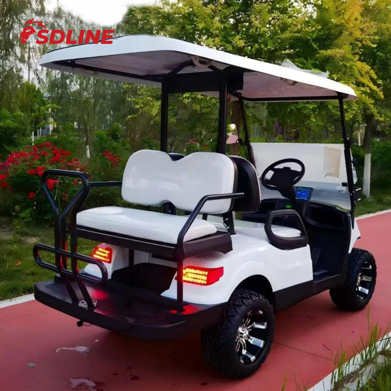 Caça 2+2 Pessoas Passageiro Pessoa Assento Assento 48V 72V Utilitário Legal Rua Lítio Gasolina Elétrico Carrinho de Golfe Preço para Carregador de Bateria Buggy Alimentado