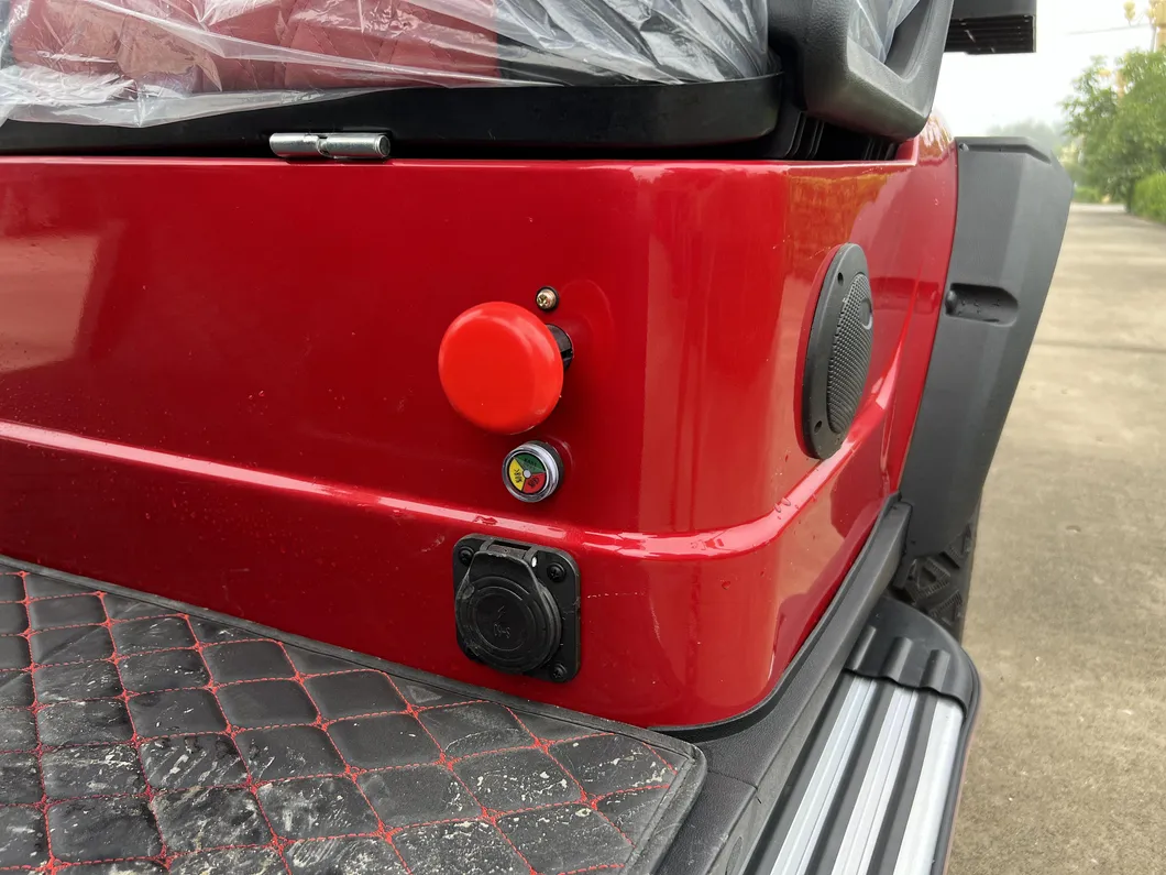 Detalhe do Carrinho de Golfe 8