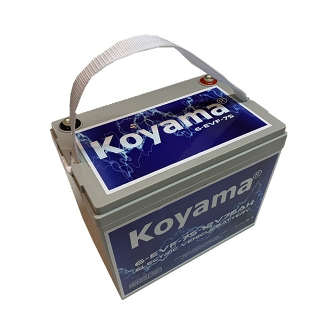 12V75ah 6-Evf-75 Bateria de Carro Elétrico Sem Manutenção para Carrinho de Golfe
