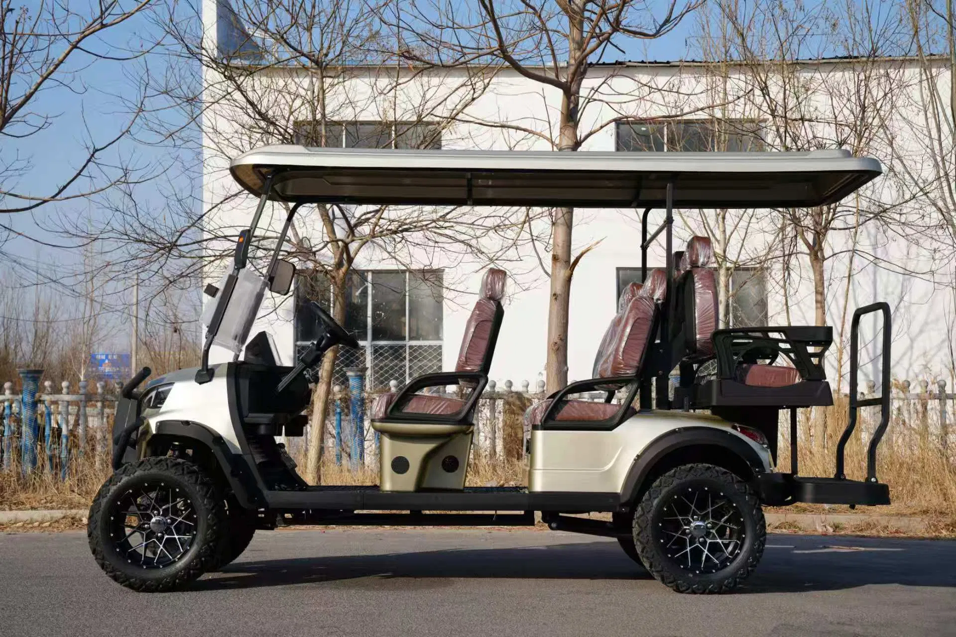 Novo Carrinho de Golfe a Gasolina de Quatro Rodas de Alta Qualidade com Múltiplas Cores