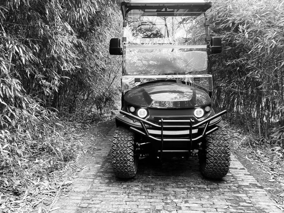 6 Carrinho de Golfe Elétrico para Caça Off Road Vans Utilitárias Veículo Utilitário