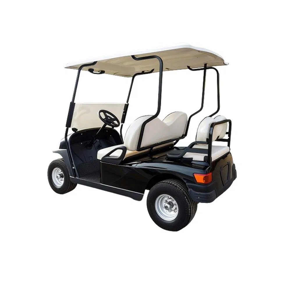 4X4 Carrinho de Golfe Luxuoso 14 Carrinho de Golfe para 1 Pessoa