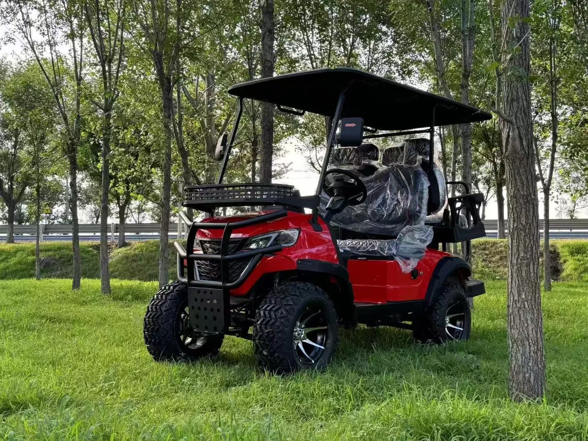 2-6 Carrinho de Golfe para Pessoas 2 4 6 Assentos Carrinhos de Golfe Elétricos 2025 Venda Quente de Carrinhos de Golfe