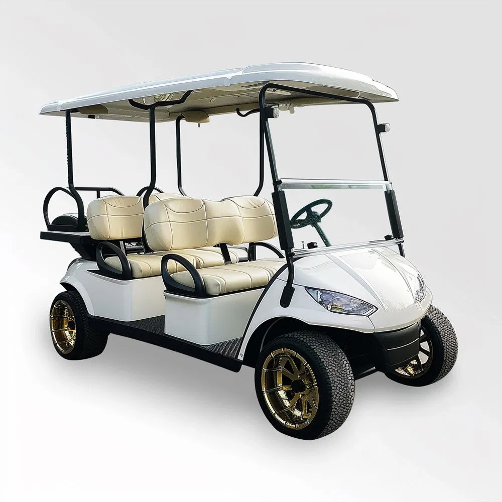 4X4 Carrinho de Golfe Luxuoso 14 Carrinho de Golfe para 1 Pessoa