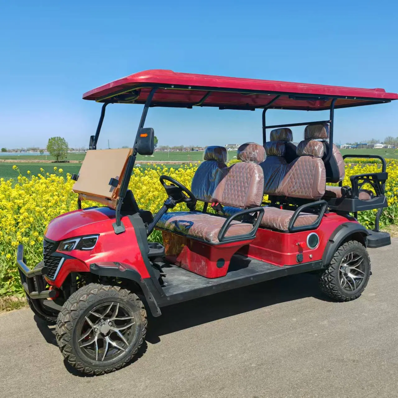 Carrinho de Golfe Elétrico Personalizável 2-Seater 6 Lugares com Bateria de Lítio à Venda