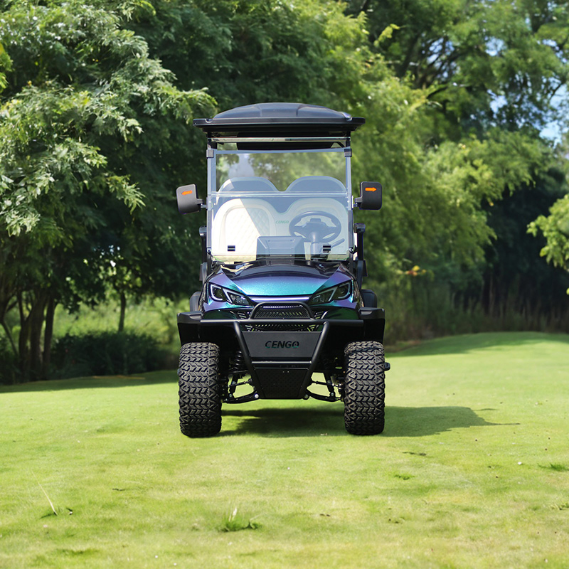 Veículo Elétrico Utilitário Direto de Fábrica para Campos de Golfe, Mini Veículo Elétrico com Uso Múltiplo, Buggy de Golfe