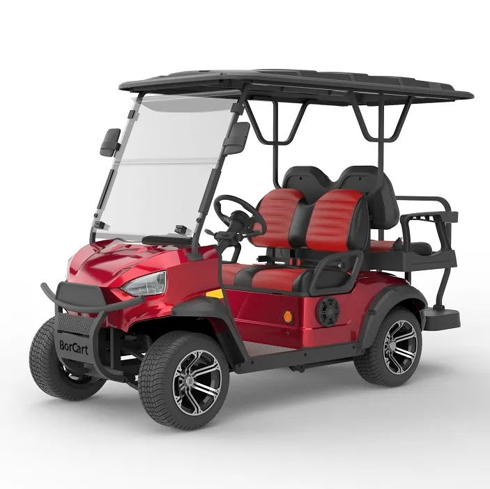 Carrinho de Golfe Detalhes