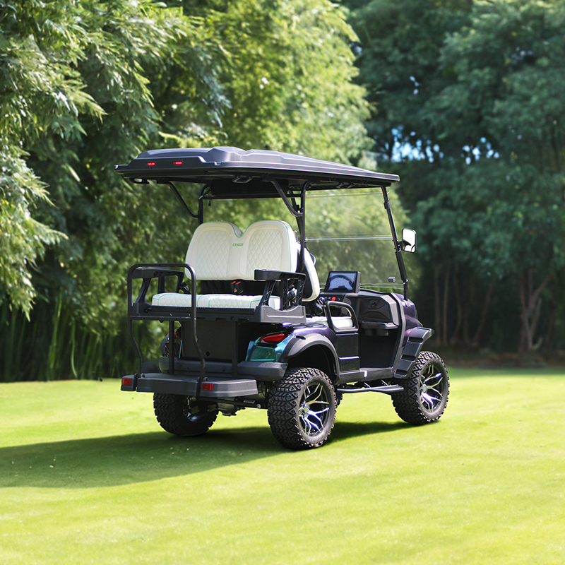 Veículo Elétrico Utilitário Direto de Fábrica para Campos de Golfe, Mini Veículo Elétrico com Uso Múltiplo, Buggy de Golfe