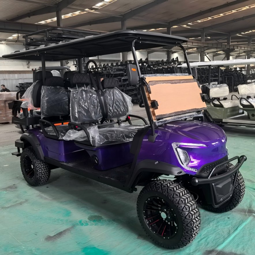 Tongcai &amp; Kepler Personalizado Dobrável Portátil 4+2 Assentos com Certificado Coc para Carrinho de Golfe Elétrico Legalizado para Ruas Europeias à Venda