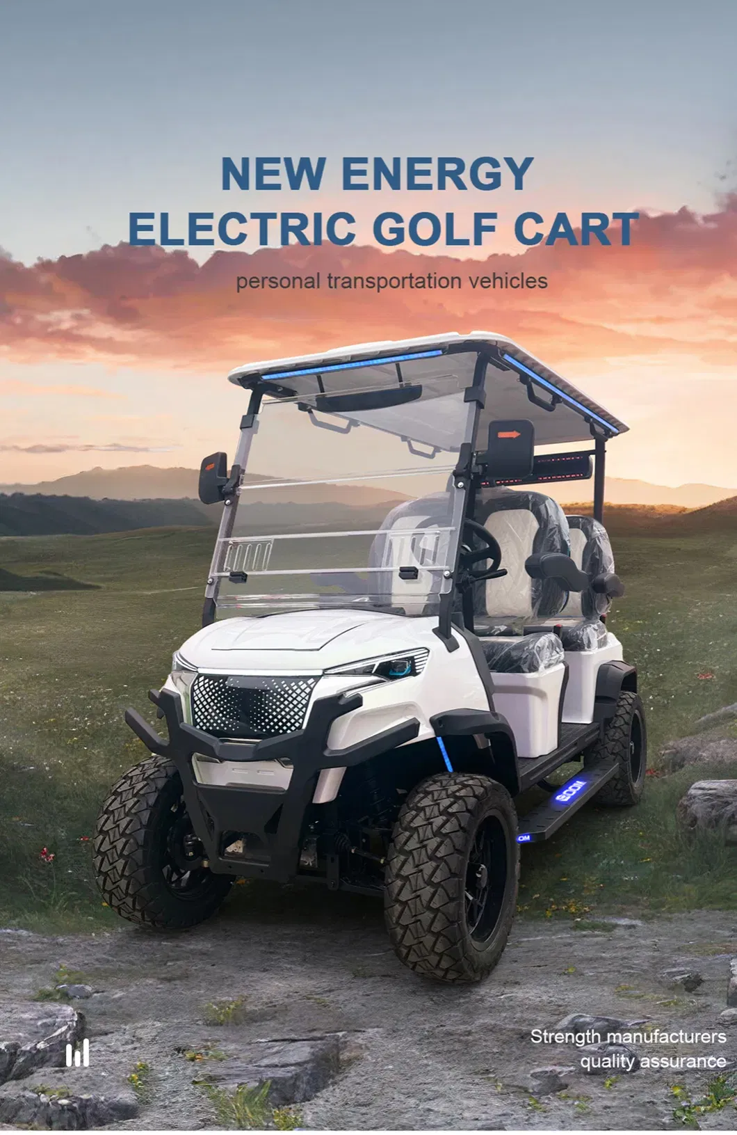 Carrinho de Golfe Elétrico de Luxo Alimentado por Lítio com Opções de Cores Personalizáveis