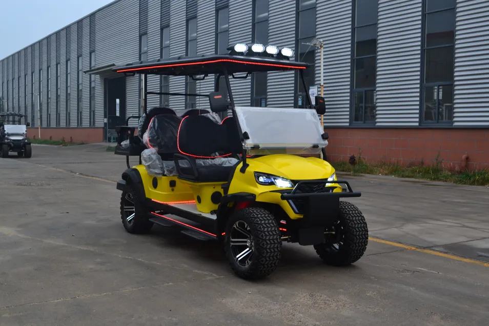 Carrinho de Golfe Elétrico Pronto para Acessórios Pessoais com Extensa Variedade de Acessórios Opcionais
