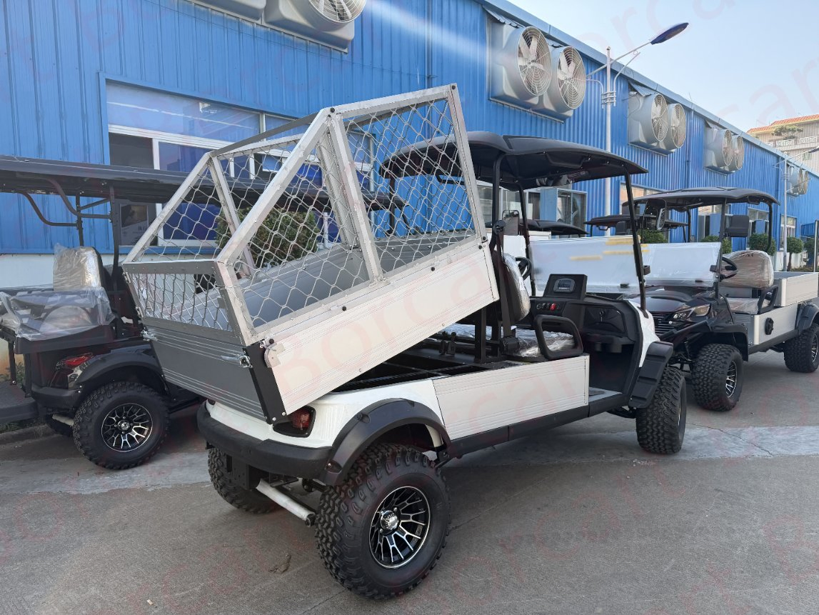 Veículo Elétrico Utilitário Carrinho Utilitário Buggy Utilitário Golfe Utilitário