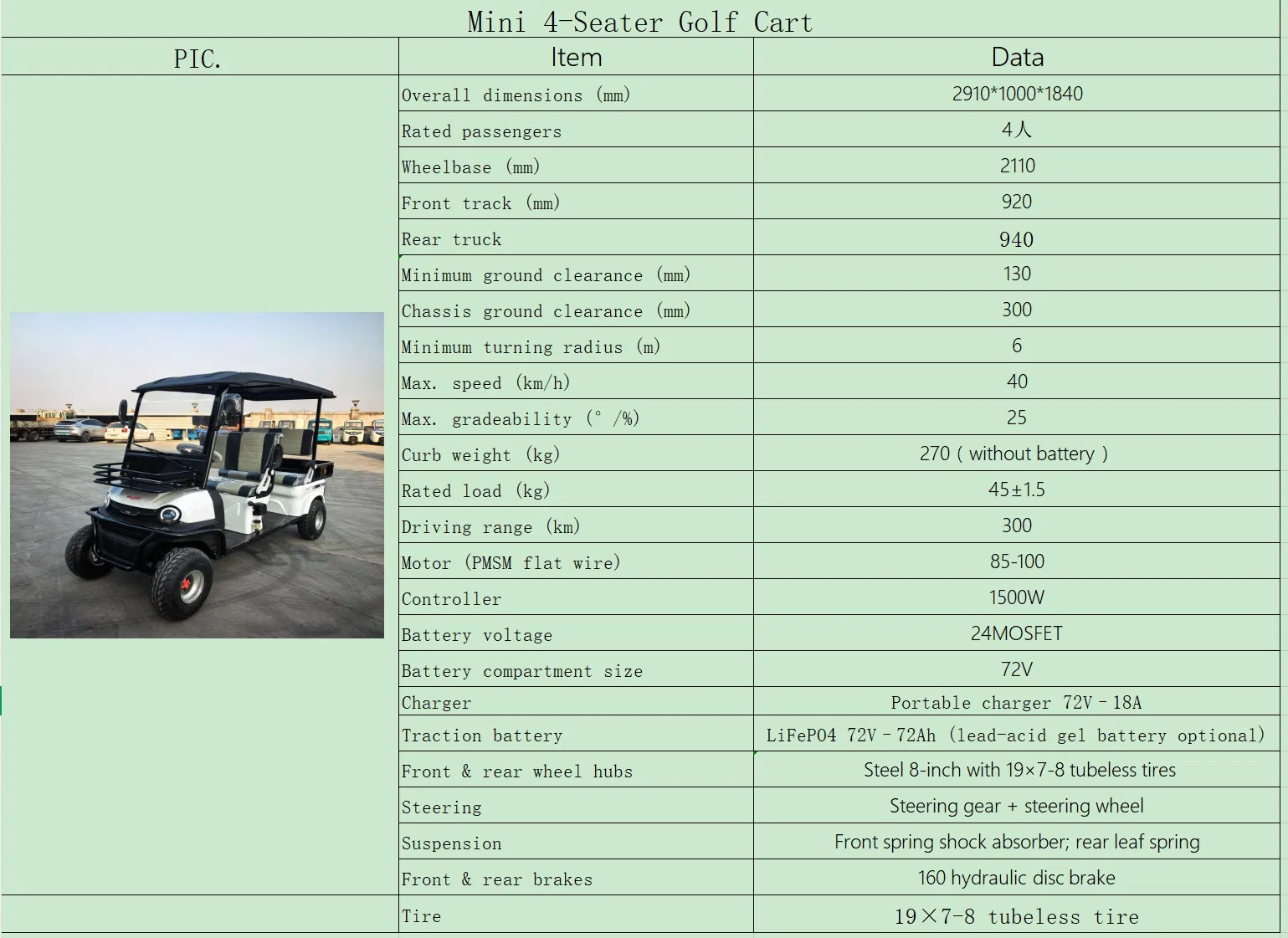 Carrinho de Golfe Elétrico, Versão de Carga ODM/CKD