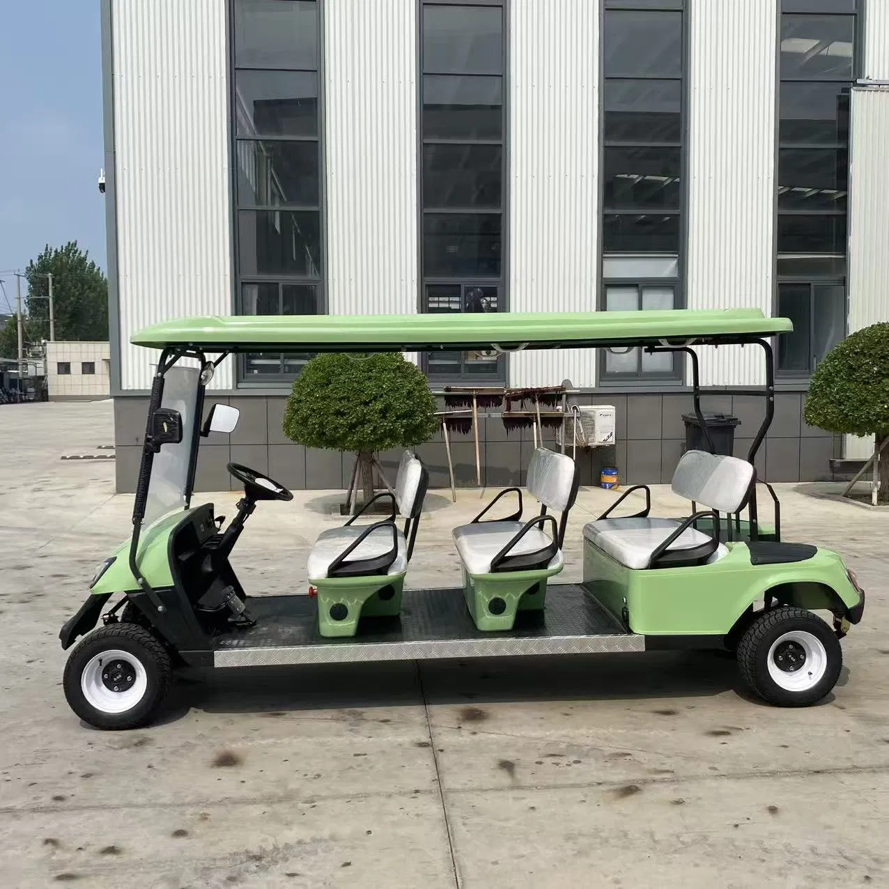 6 Carrinho de Golfe Elétrico de Luxo com Interior Personalizado para Resort